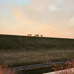 مكان تخييم Im Womoland Auf No