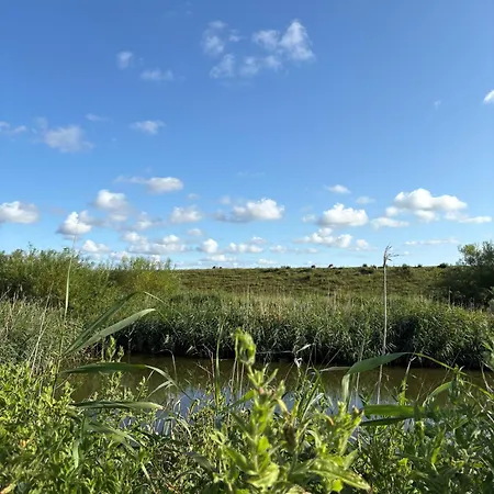 Im Womoland Auf No Camping