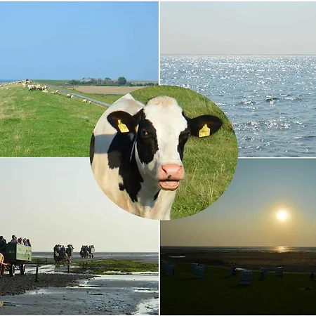 Im Womoland Auf No אתר קמפינג