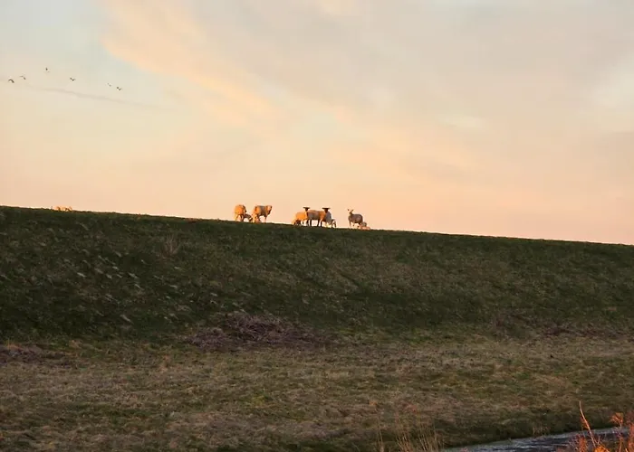 Camping Im Womoland Auf No