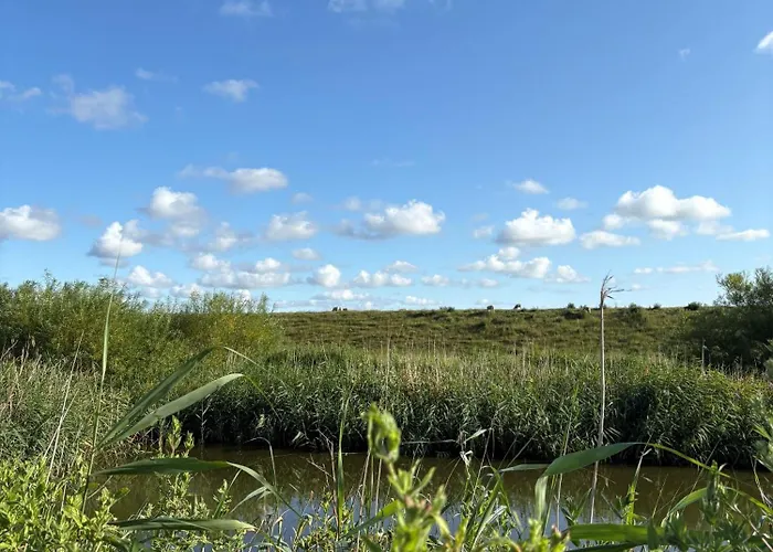 Im Womoland Auf No Camping